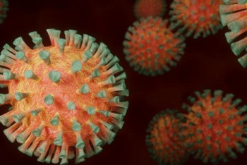 Фотография к новости: "Нигерийский" штамм коронавируса выявлен в Казахстане