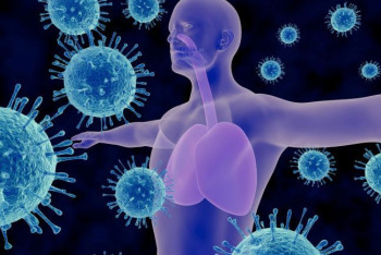 Фотография к новости: Каким образом COVID-19 обманывает иммунитет человека