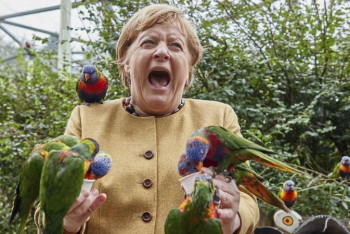 Фотография к новости: Ангелу Меркель клюнул попугай