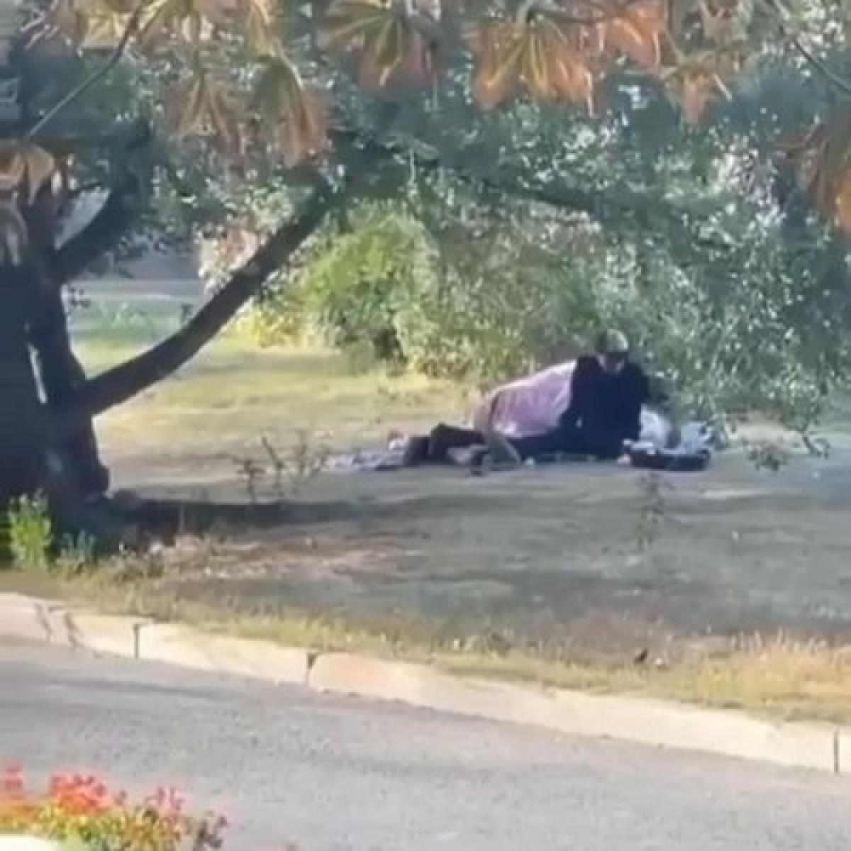 Пара занялась любовью прямо на улице в Алматы