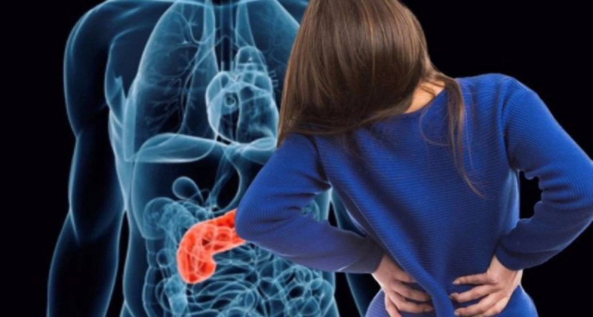 иллюстративное