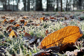 Фотография к новости: До шести градусов мороза ожидается в Казахстане
