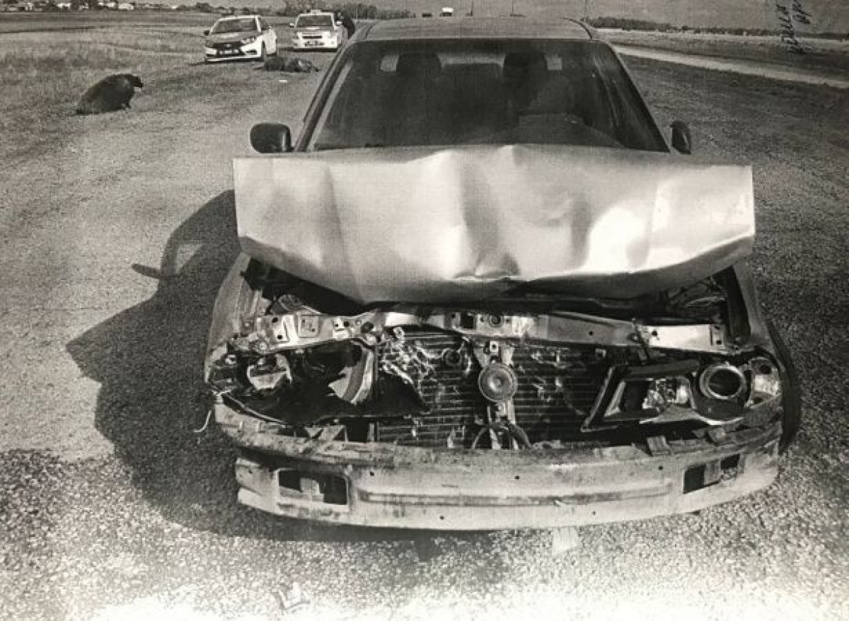 пресс-службы ДП СКО