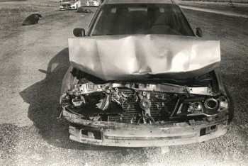 Фотография к новости: Водитель сбил насмерть 14 овец на трассе "Петропавловск - Жезказган"