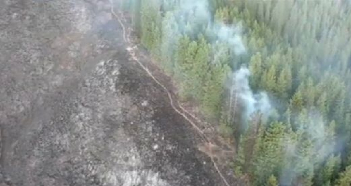 Вторые сутки тушат лесной пожар в ущелье в Алматинской области