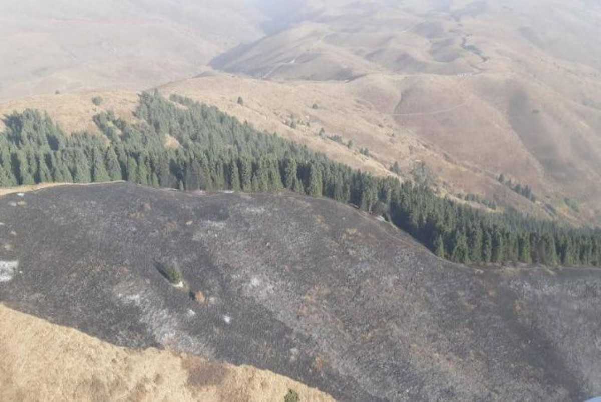 Лесной пожар тушат в Иле-Алатауском нацпарке