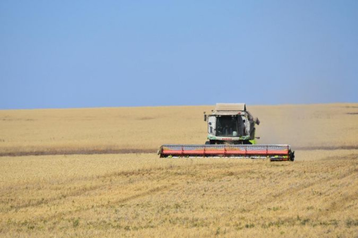Как обеспечивают ГСМ акмолинских аграриев, рассказали в сельхозуправлении