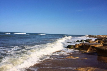 Фотография к новости: "Только резонанс заставляет чиновников услышать общество" - Нигматулин