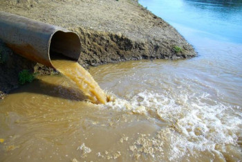 Фотография к новости: Предлагаю ускорить взаимодействие – министр экологии РФ о сохранении Урала и Иртыша