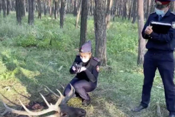 Фотография к новости: Двух егерей подозревают в браконьерстве в СКО