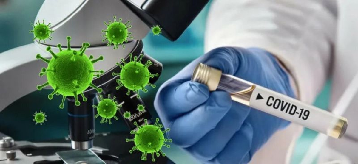 иллюстративное