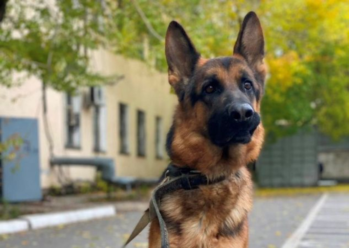 пресс-служба ДП Нур-Султана