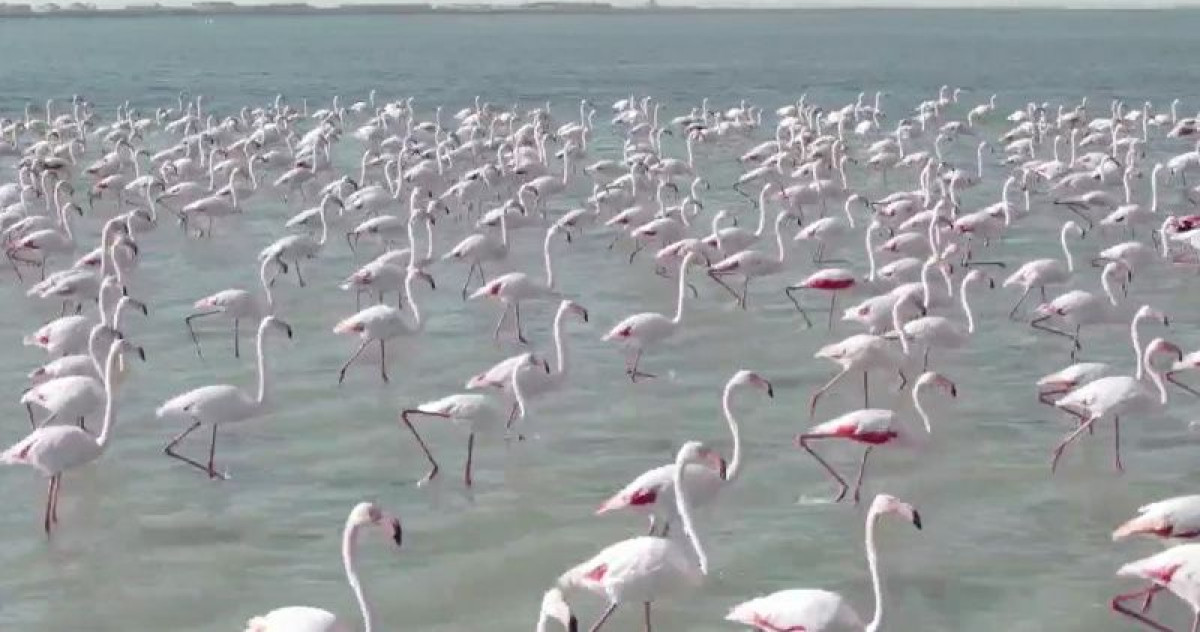 facebook/Азамат Сарсенбаев