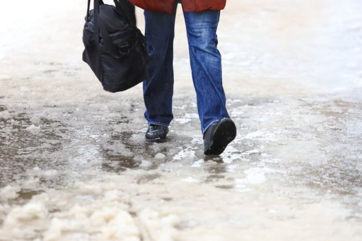 иллюстративное 