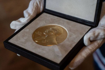 Фотография к новости: Нобелевскую премию по физике дали за моделирование сложных систем