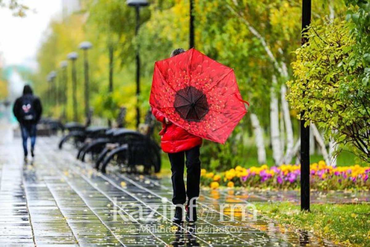 Туман и пыльные бури ожидаются в нескольких регионах РК