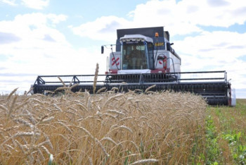 Фотография к новости: Сельское хозяйство Акмолинской области: что сделано за годы независимости
