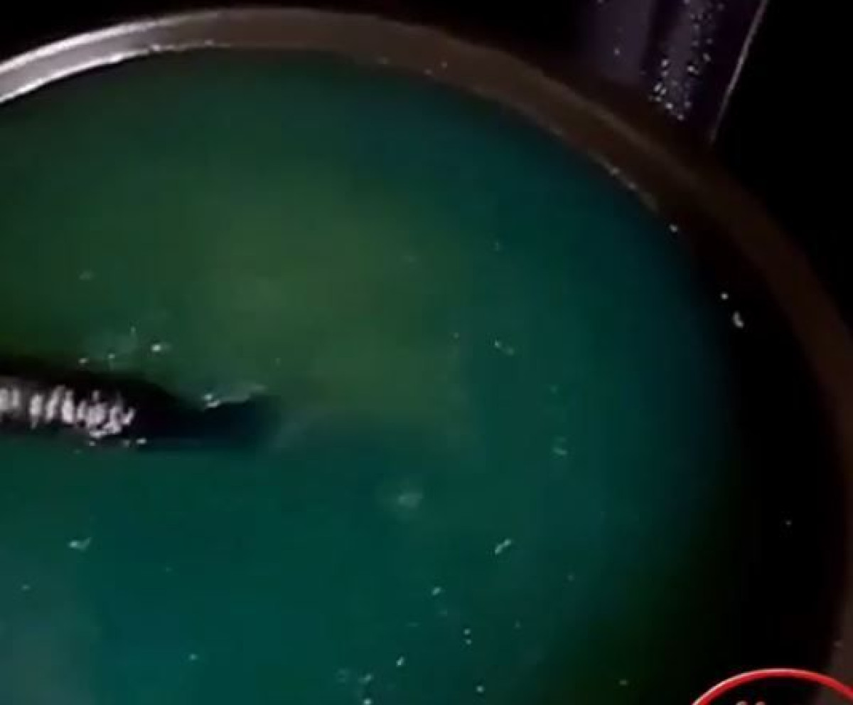 Казахстанцы жалуются на качество дизтоплива