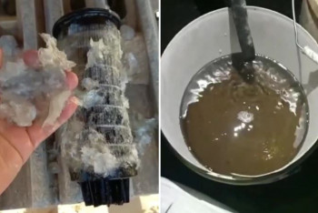 Фотография к новости: "Один парафин": "Казмунайгаз" прокомментировал жалобы на дизтопливо