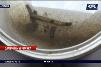 Фотография к новости: Воду с червями вынуждены потреблять жильцы микрорайона в Алматы