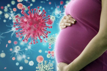 Фотография к новости: Как COVID-19 влияет на беременность, рассказала врач