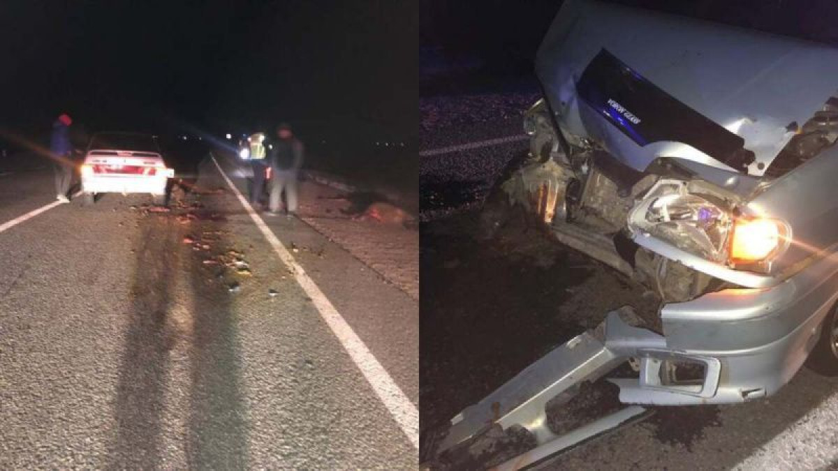 Водитель сбил насмерть 14 овец на трассе Нур-Султан - Петропавловск