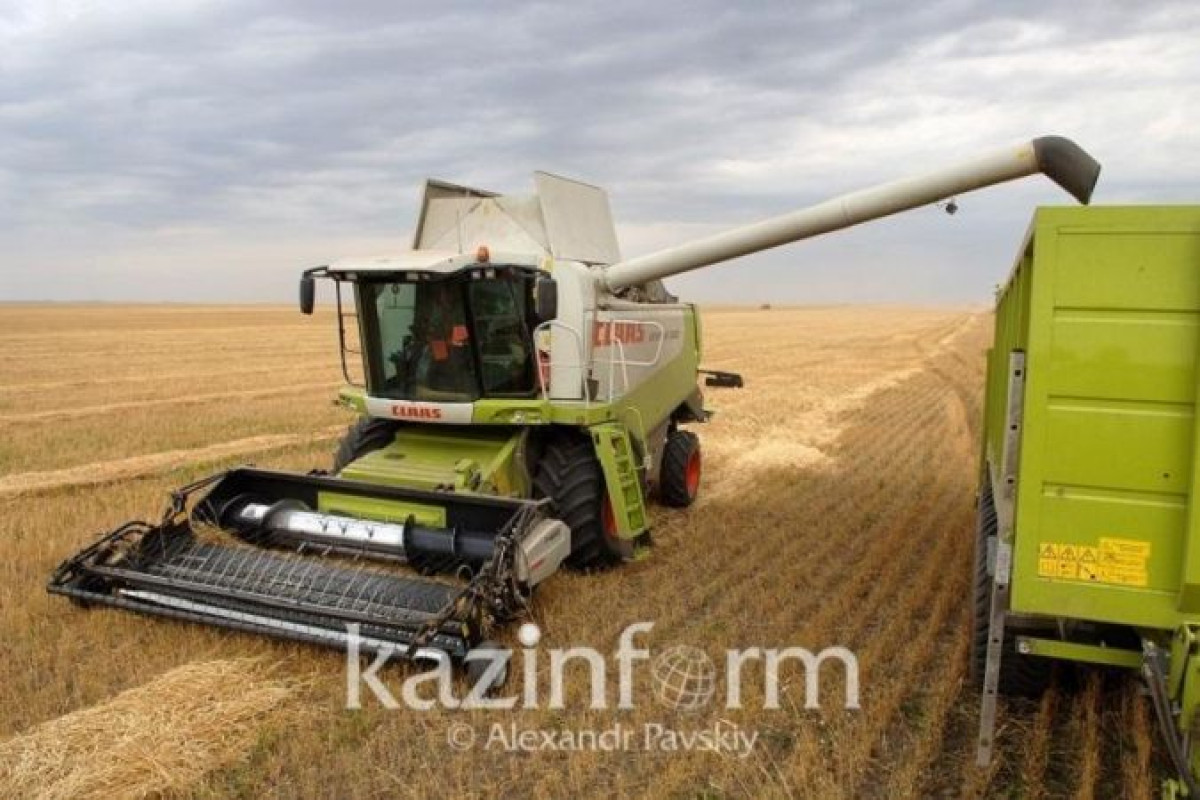 Сельское хозяйство станет самым крупным источником парниковых газов