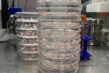 Фотография к новости: Китаец в домашней лаборатории делает лекарство для спасения больного сына