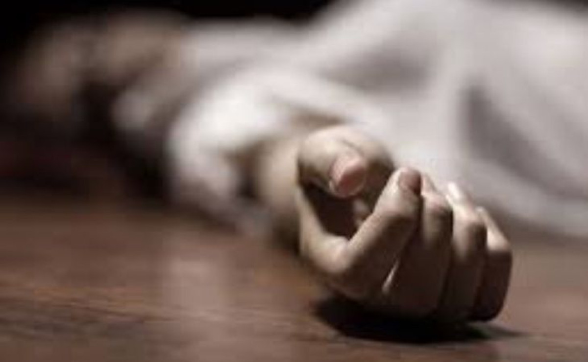 иллюстративное