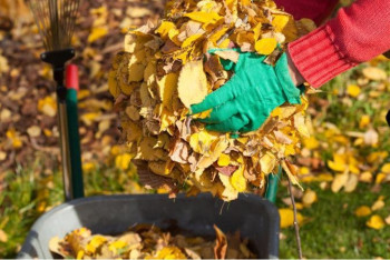 Фотография к новости: "Не было слов "явка обязательна"  - замакима Семея об инциденте с учителями на субботнике