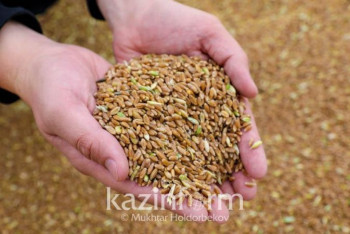 Фотография к новости: "Резкого роста цен на социальный хлеб быть не должно" - министр сельского хозяйства РК