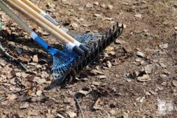 Фотография к новости: В Казахстане будут наказывать за привлечение педагогов к субботникам