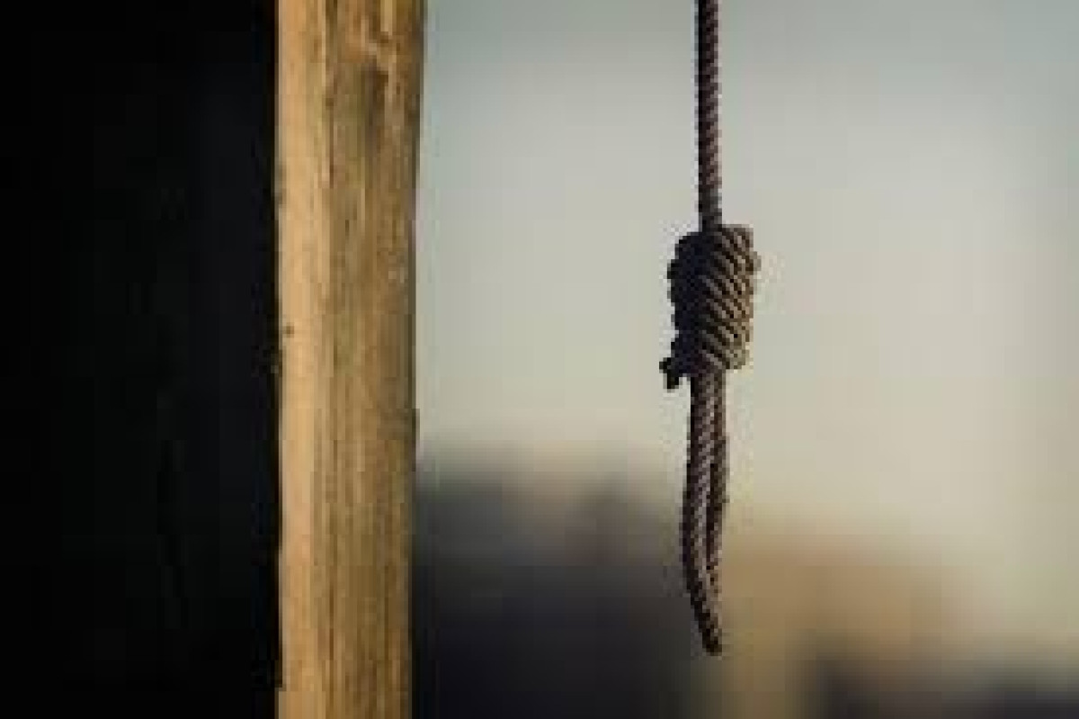 открытые источники