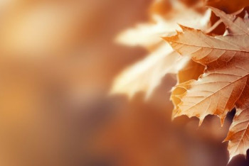 Фотография к новости: По-осеннему переменчивая погода ожидает казахстанцев в выходные