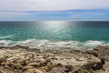 Фотография к новости: Глава государства подписал закон о защите морской среды Каспия