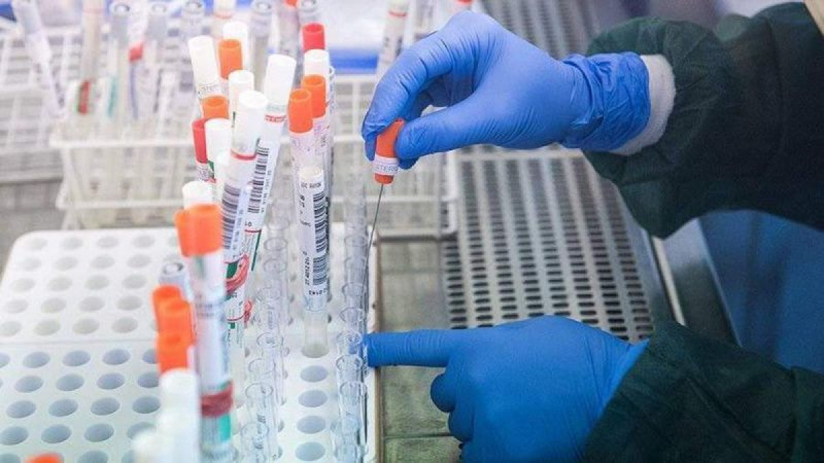 иллюстративное