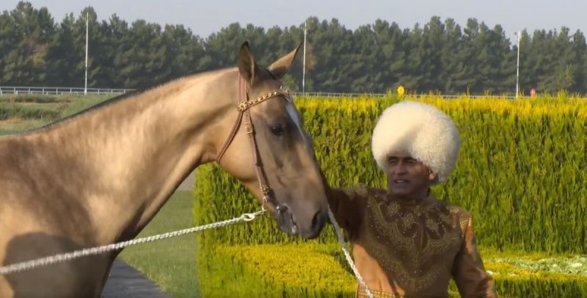 скриншот видео со страницы Берика Уали/facebook.com