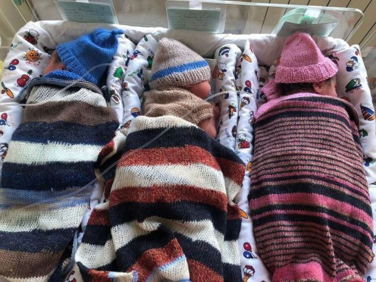 instagram.com/turkistan_oblysy