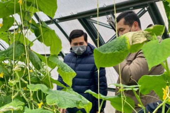 Фотография к новости: Асхат Аймагамбетов посетил аутизм-центр и школьные теплицы в Алматы