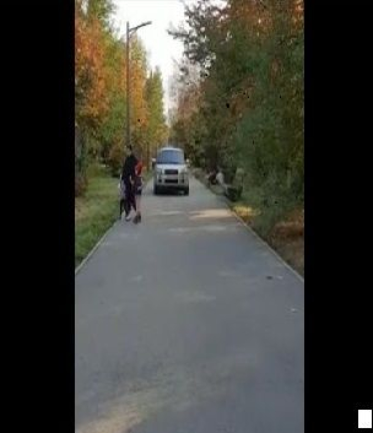 Водитель разъезжал по тротуару в парке в Алматы