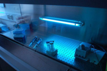 Фотография к новости: Ученые создали светильник, убивающий коронавирус в организме человека