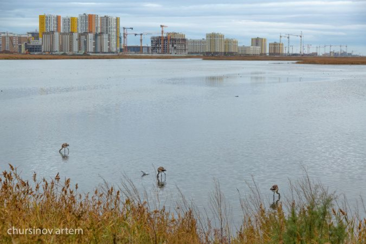 ГАСК предписал приостановить стройку на Малом Талдыколе