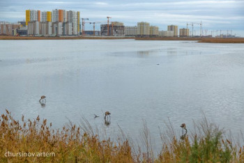 Фотография к новости: ГАСК предписал приостановить стройку на Малом Талдыколе