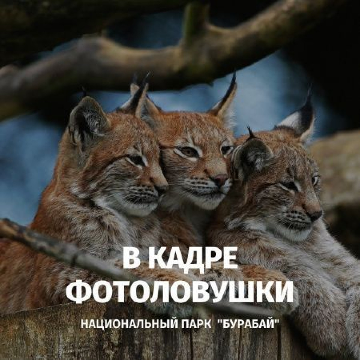 instagram.com/parkburabay