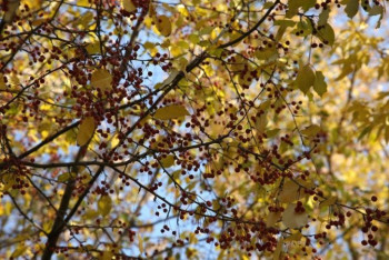 Фотография к новости: Какая погода ожидает казахстанцев 28 октября