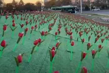 Фотография к новости: "Нам показывали другой эскиз" - аким Актау об искусственных тюльпанах