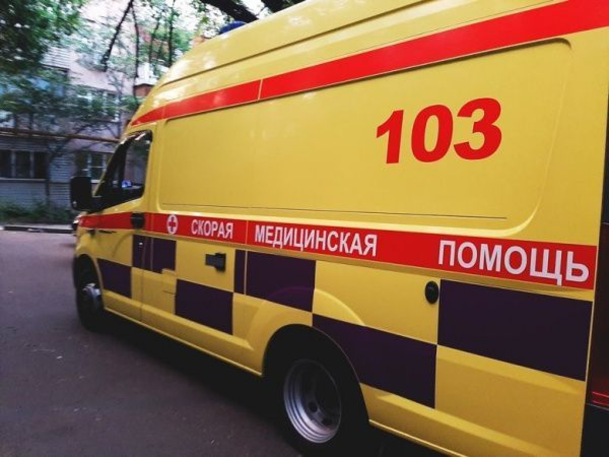 иллюстративное