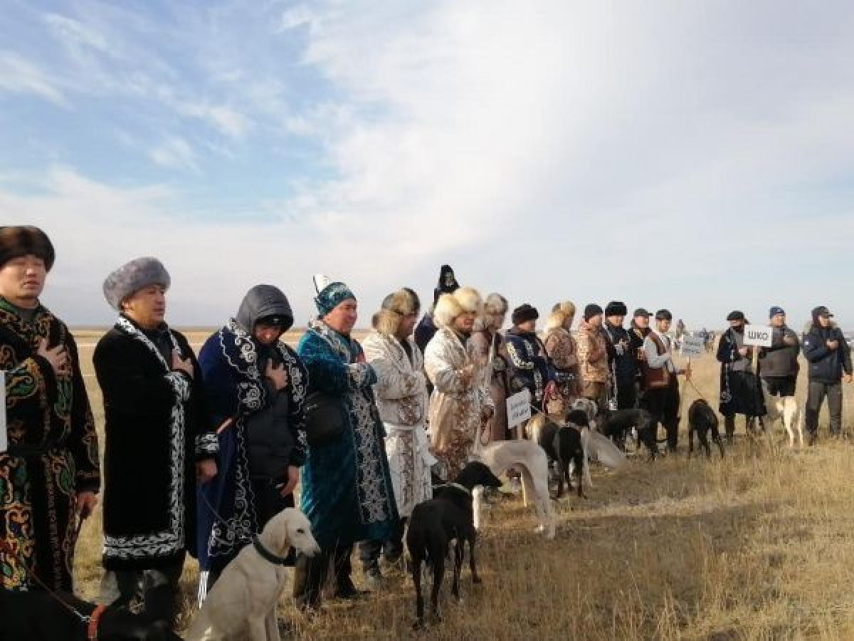 оргкомитет соревнований по курсингу в Акмолинской области