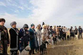 Фотография к новости: Соревнования среди собак тазы провели в Акмолинской области