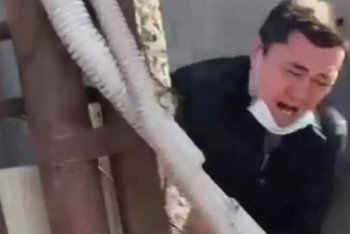 Фотография к новости: Ударившего судебного исполнителя алматинца не накажут